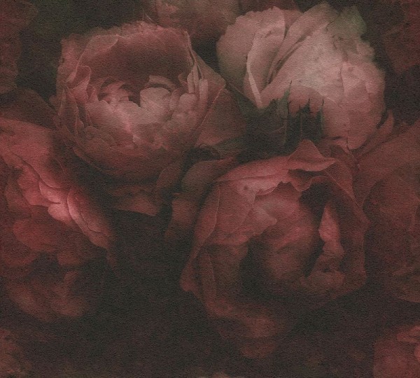Livingwalls Vliestapete New Walls, Romantic Dream Rose Rot 373924