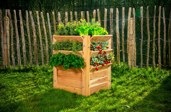 Westmann Premium Hochbeet L