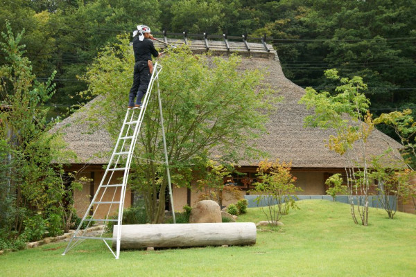 Niwaki 3-Holm-Gartenleiter 360 cm